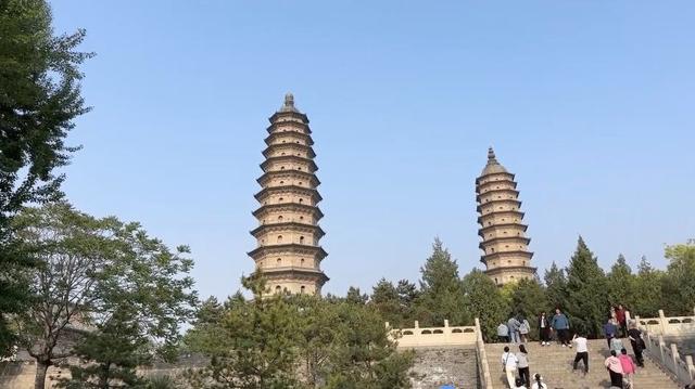 400多岁的明代牡丹“紫霞仙”绽放太原