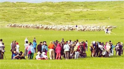 我在锡林郭勒等着你