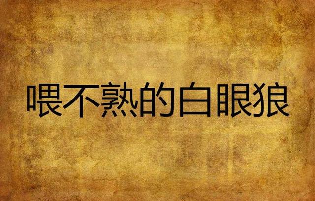 再看《蜗居》，我发现海藻能当小三，背后的推手竟然是她的老板
