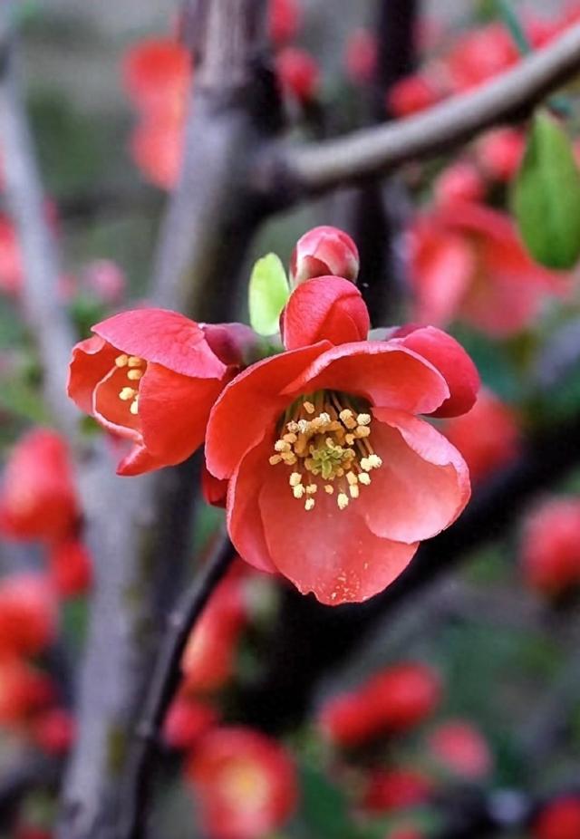 你会收到这个月以来最好的消息