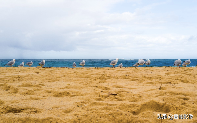 周杰伦新歌MV，除了音乐，让摄影师们沉醉的还有绚烂色彩