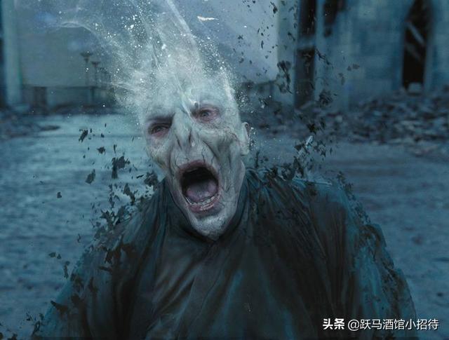 魔法界历史上最重要的谎言，纳西莎·马尔福为什么要欺骗伏地魔呢