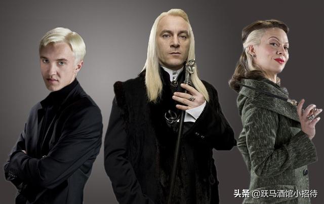 魔法界历史上最重要的谎言，纳西莎·马尔福为什么要欺骗伏地魔呢