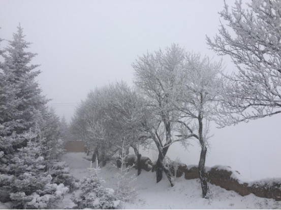 「风雪中的气象工作者」当气象设备冻成冰雕……