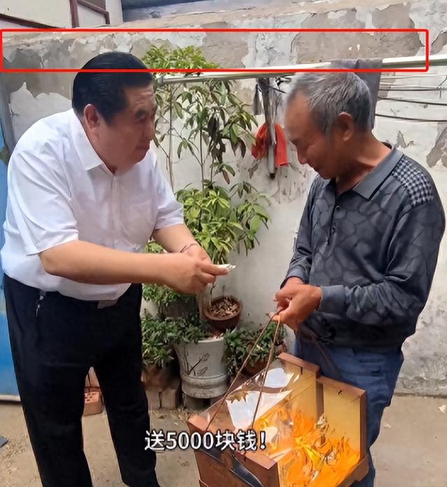 太讽刺!姜萍再被质疑,成名后各大人物去家里采访送礼,还要修路