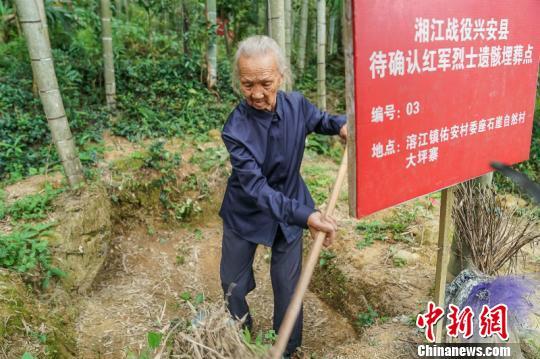 通讯:广西老人守护红军墓园数十年 不愿离开烈士进城