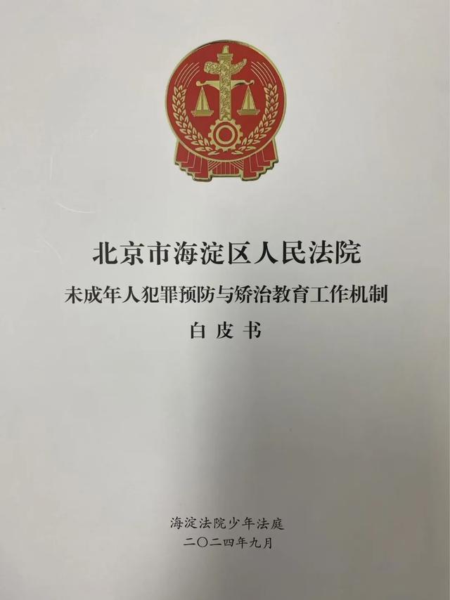 海淀法院少年法庭：薪火相传的希望之路