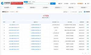 中瑞国际影城(大地影院等被强制执行逾2亿元)