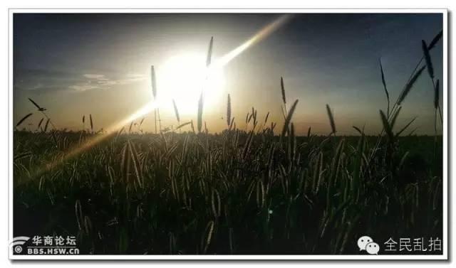 电影走进现实:还原陈忠实先生笔下的白鹿原