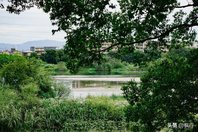 京都这座皇室的离宫，美且朴素的哲学，对得起超难的预约流程