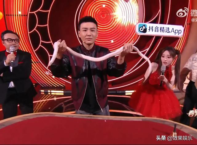 春晚魔术表演大变活蛇和高科技版人体切割术,看着真的好吓人。