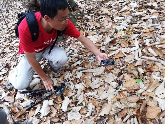 荒野间谍第二季-大迁徙队伍里的间谍红蟹