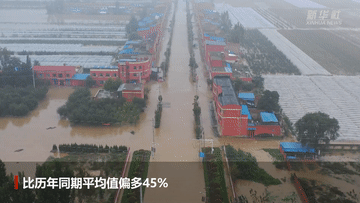 “涓涓细流”洛河为何成了“洪水猛兽”？答案在这里