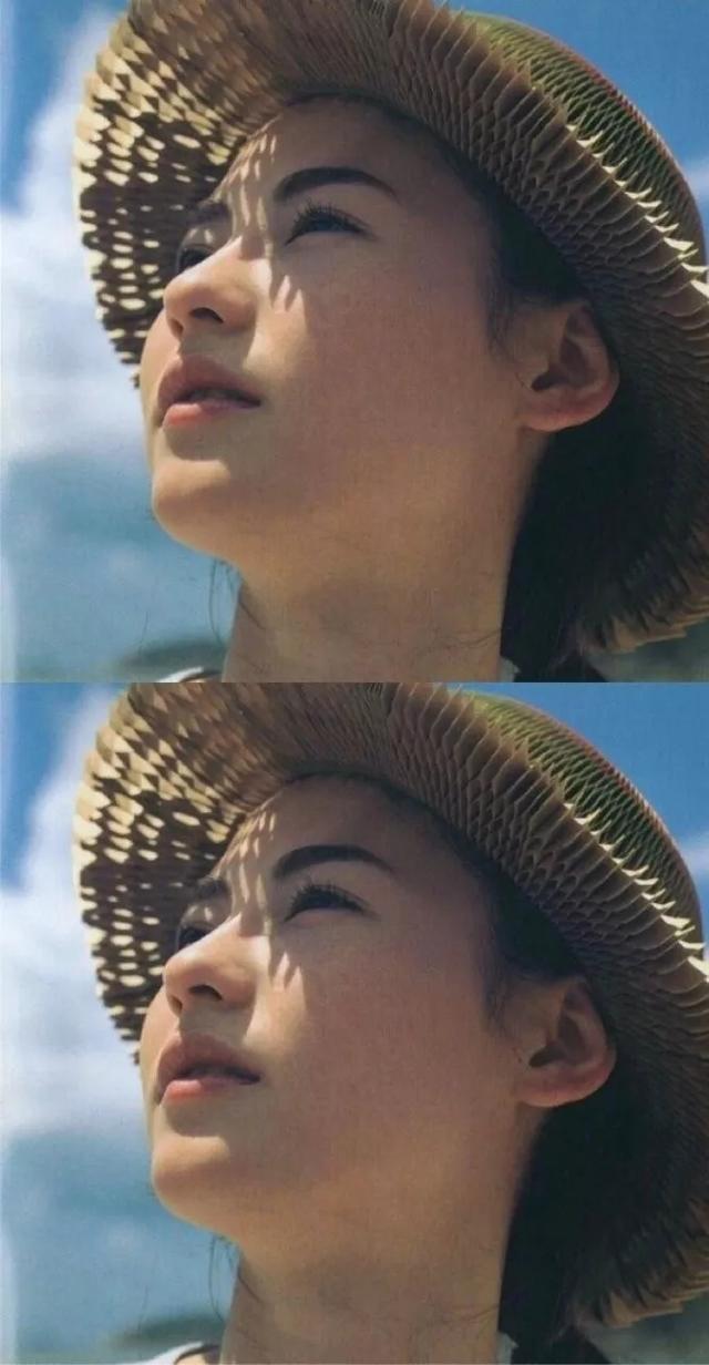 明星壁纸 张柏芝壁纸图片照片合集