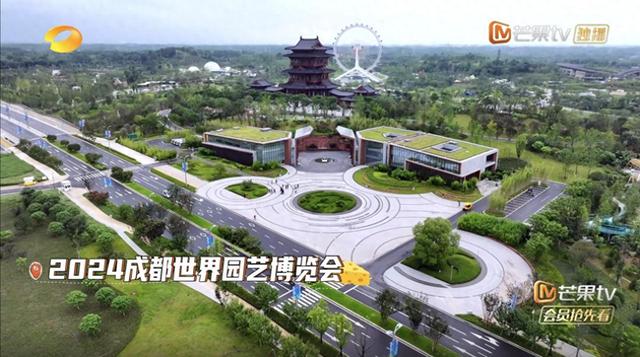 世园会里“捉迷藏”：一场充满成都风味的青春游戏