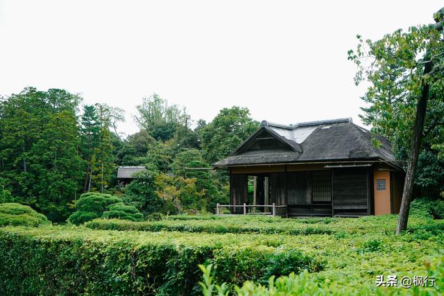 京都这座皇室的离宫，美且朴素的哲学，对得起超难的预约流程