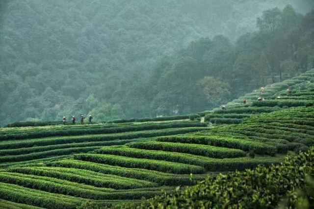 晚潮｜素贞和淑真