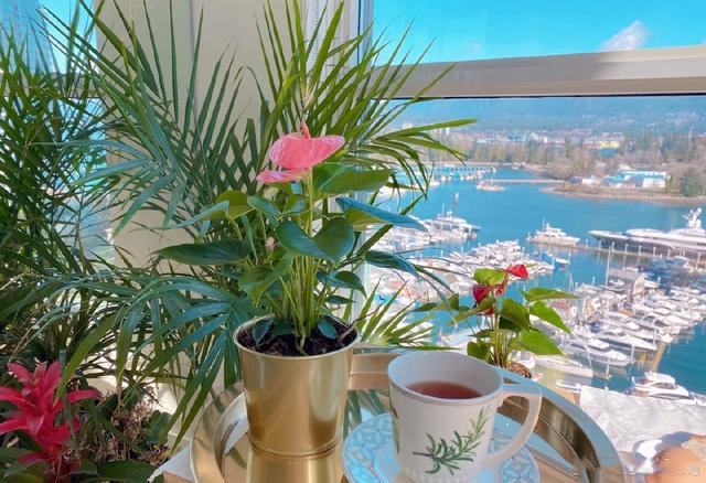 54岁“薛宝钗”近照曝光，皮肤水嫩看不出皱纹，年过半百至今未婚