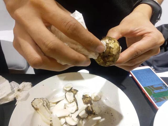 鲜松茸你买对了吗?顺丰优选携手参之源举行2019年度鲜松茸季发布会