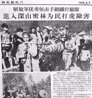 大老虎周(打虎英雄陈耆芳，为孙复仇打死138只老虎，周总理亲自接见)