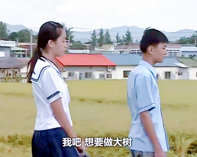 《蓝色生死恋》尹俊熙,和《致青春》林静,是同一类“情圣”