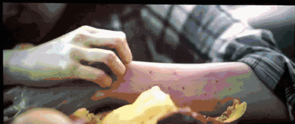 150万人想看的《前任4》定档！下一个爆款会是谁？