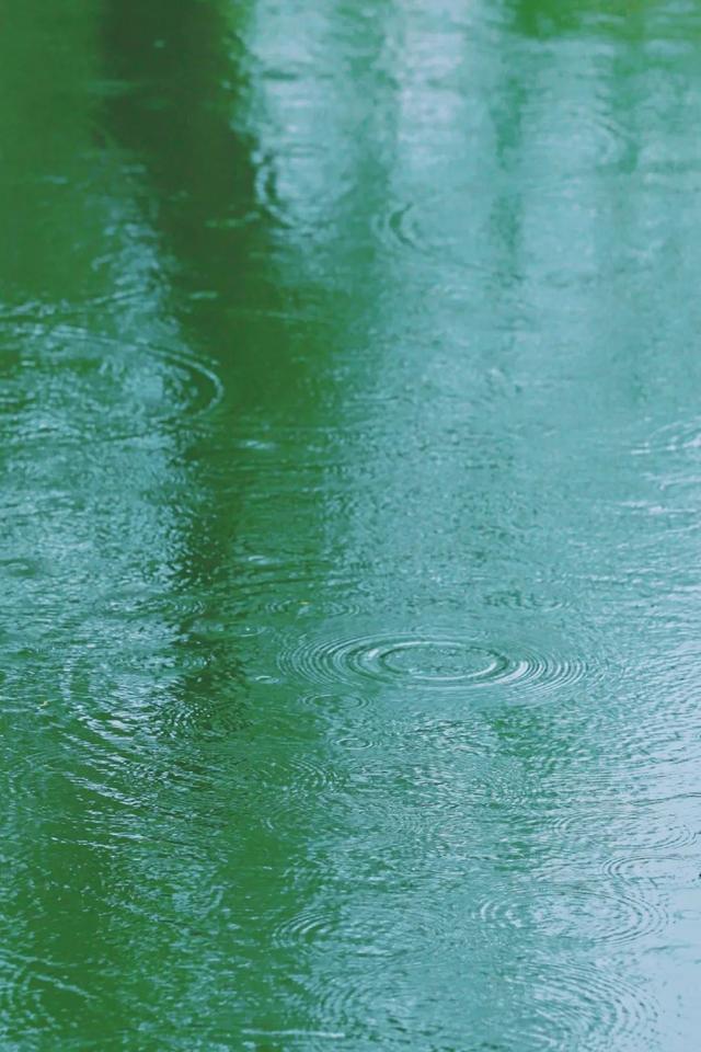 寻一抹绿，访一季春