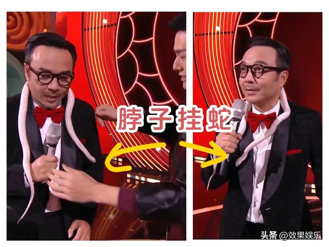 春晚魔术表演大变活蛇和高科技版人体切割术,看着真的好吓人。