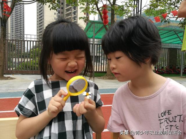 「萌芽行动」泊语湾伟才幼儿园---第9课