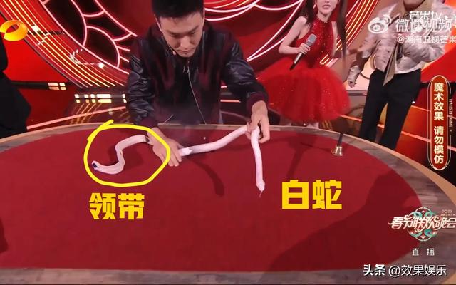 春晚魔术表演大变活蛇和高科技版人体切割术,看着真的好吓人。