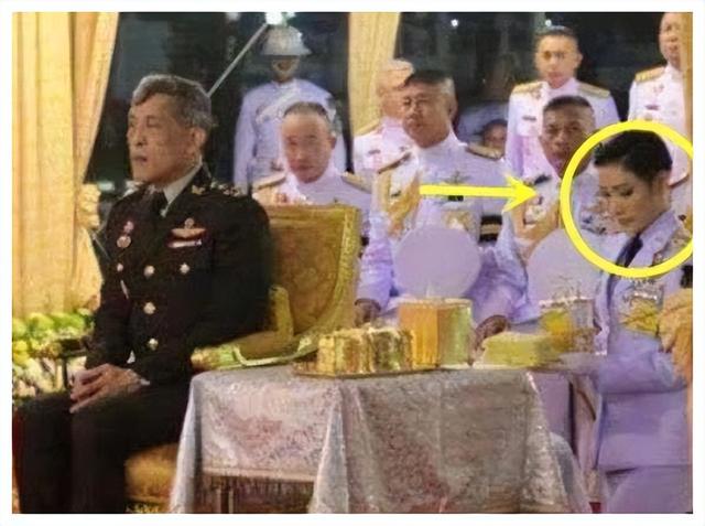 诗妮娜贵妃偷摸生子，有儿有女儿子七岁，生日放一家4口漫画示威