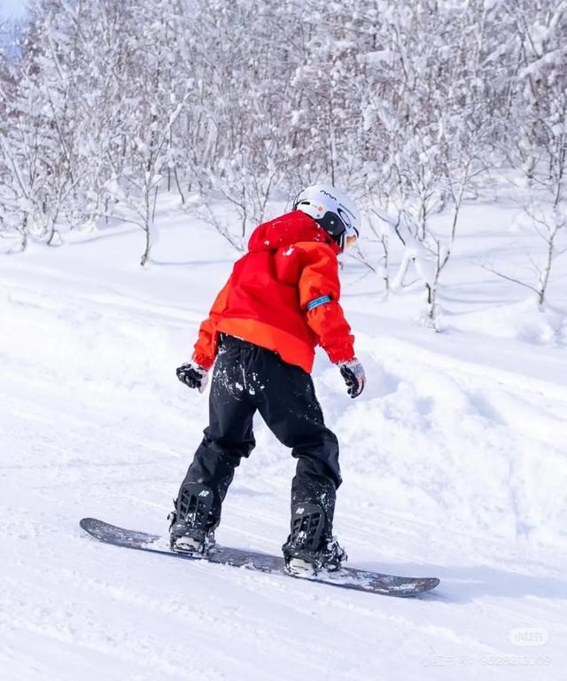 刘若英结婚14年与富豪老公分床睡，感情稳定，老公是汪小菲好友