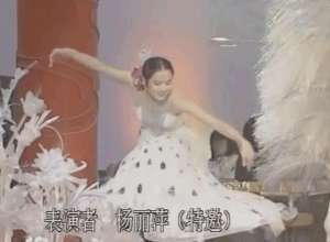 杨丽萍是什么家(“人间异类”杨丽萍，她是仙子还是疯子？)