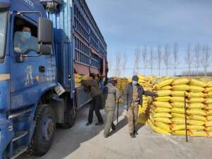 金红梅(黑龙江垦区沃野千里备耕忙)