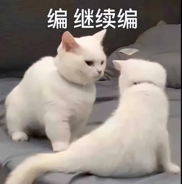 彭于晏隔离前后素颜照流出,粉丝疯了:哥哥根本配不上我