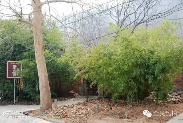 电影走进现实:还原陈忠实先生笔下的白鹿原