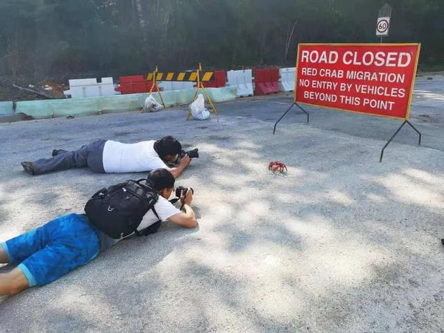 荒野间谍第二季-大迁徙队伍里的间谍红蟹