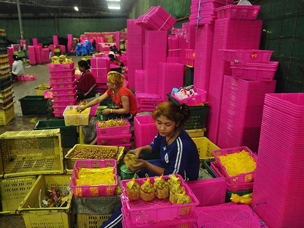 为龙画眼——柬埔寨汗水，泰国甜蜜与中国舌尖