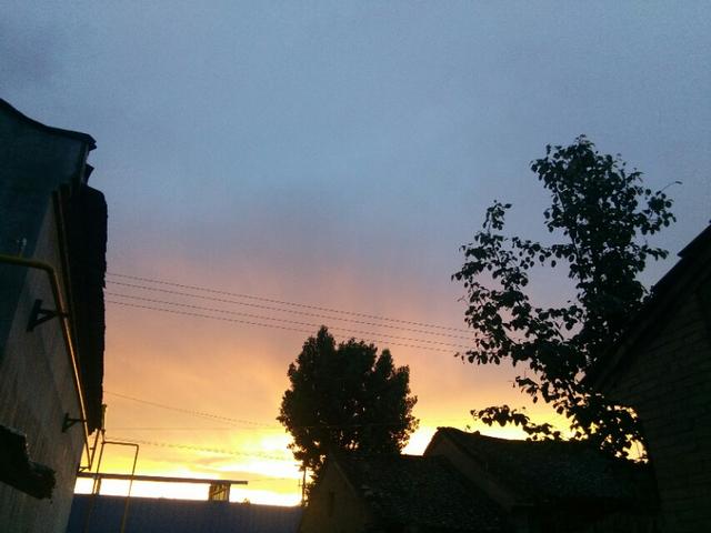 德国歌曲翻译——《柠檬树》