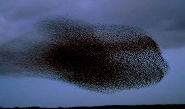 白色的彩虹，黑色的太阳，蓝色的熔岩，你绝对没见过，不信你看