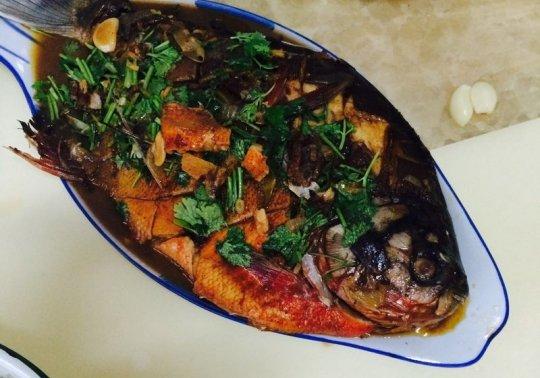 柳州公园惊现“食人鱼”！满口利齿模样吓人，物种入侵有多严重？