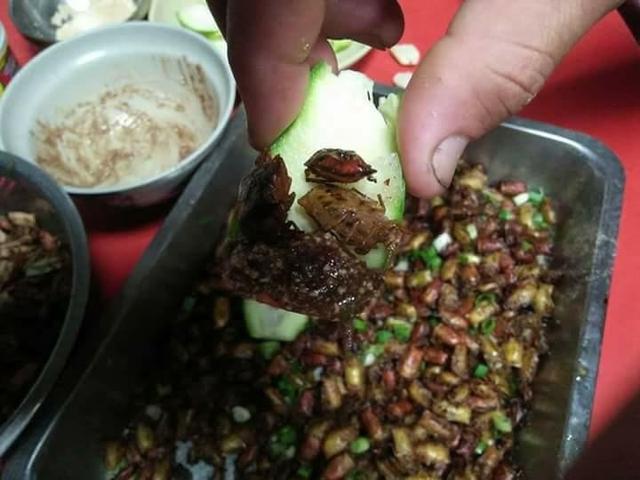 随处可见的臭屁虫，现在怎么消失了？云南人当美食吃到300元一斤