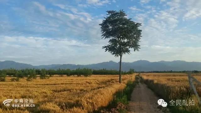 电影走进现实:还原陈忠实先生笔下的白鹿原