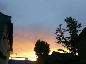 柠檬树英文歌(德国歌曲翻译——《柠檬树》)