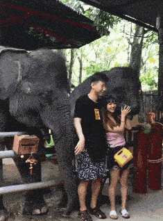 柳岩辽宁春晚小品《大腕来袭》中的护士装，演绎别样美丽