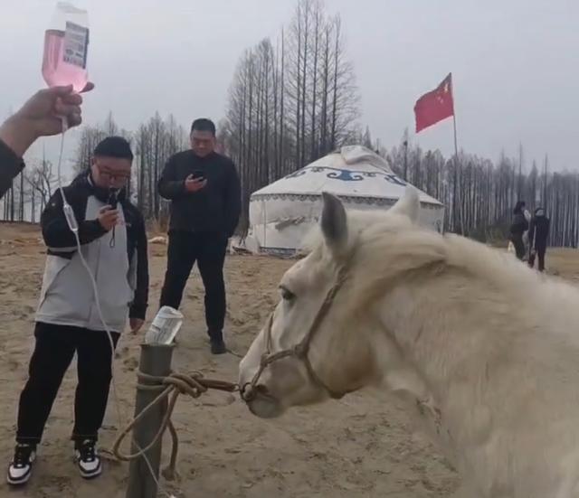 湖北仙桃救人“白龙马”突发病死亡，网友：愿在天堂自由如风