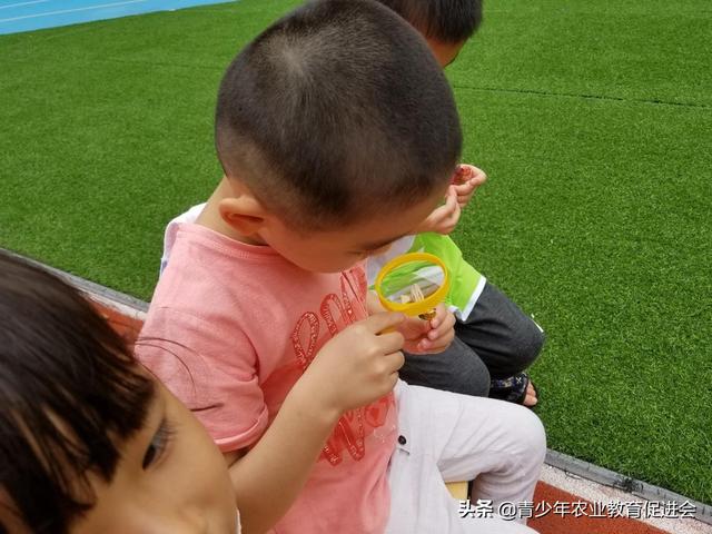 「萌芽行动」泊语湾伟才幼儿园---第9课