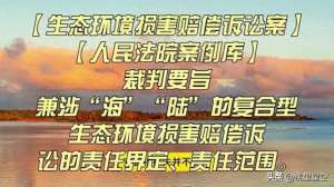 程玉(《生态环境惩罚性赔偿体系性优化：程玉的专业解读与思考)