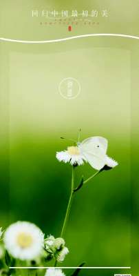 一汪春水(寻一抹绿，访一季春)