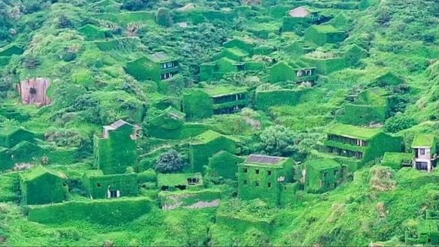 浙江舟山发现一个无人村，3000村民全部搬离，如今令人向往